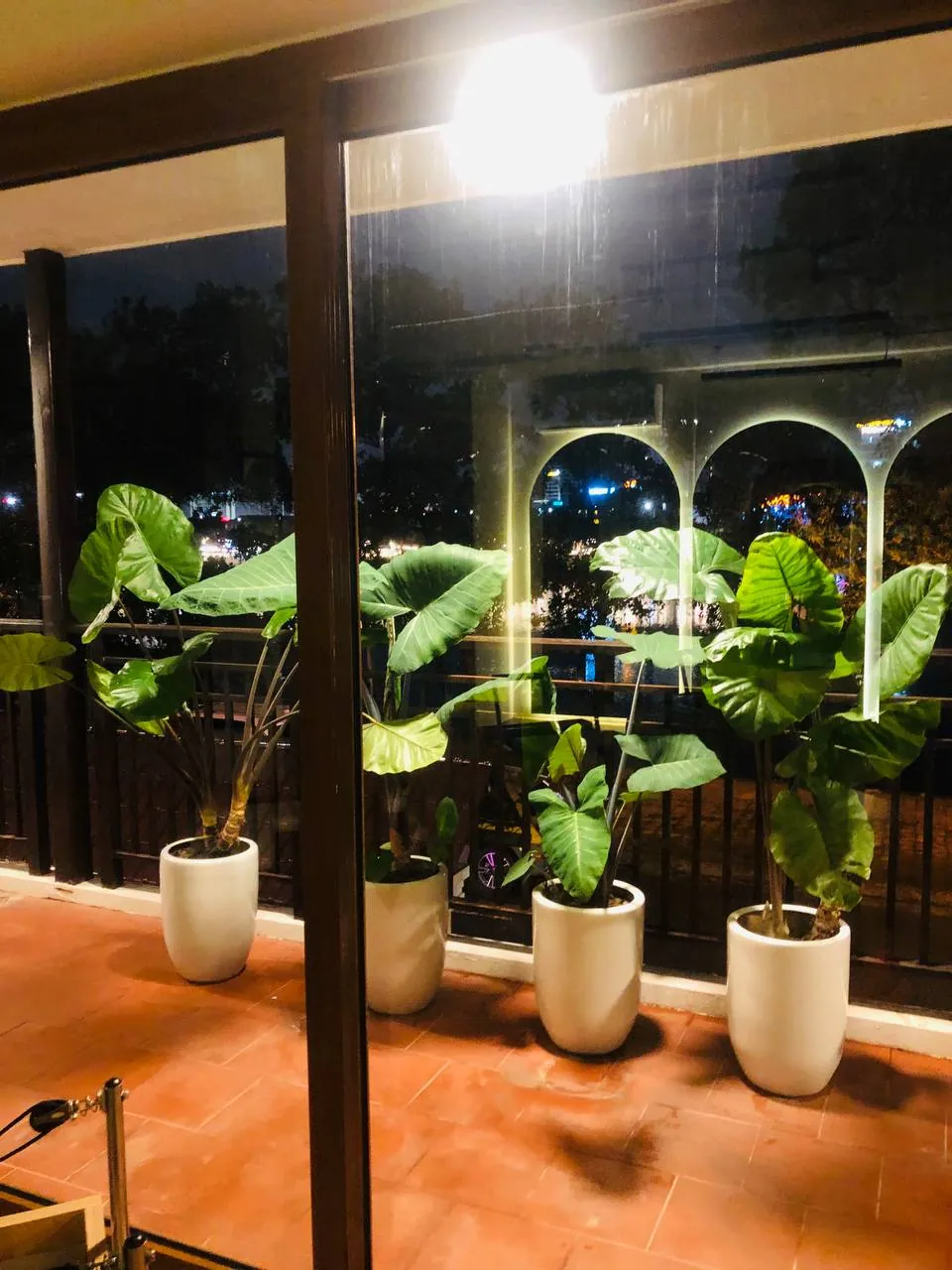 Ban công ban đêm — chậu cây, ánh vàng từ trong nhà