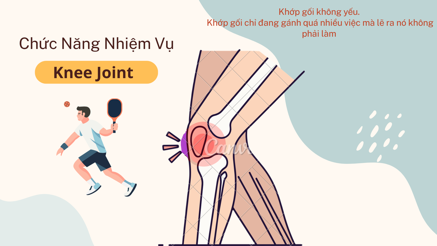 Khớp gối — 002