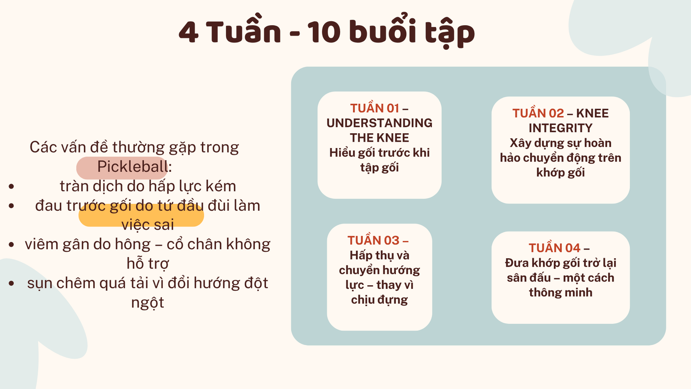 Khớp gối — 005