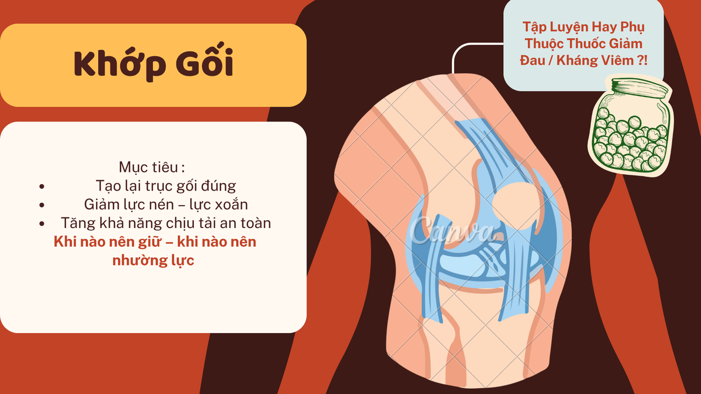 Khớp gối — 006