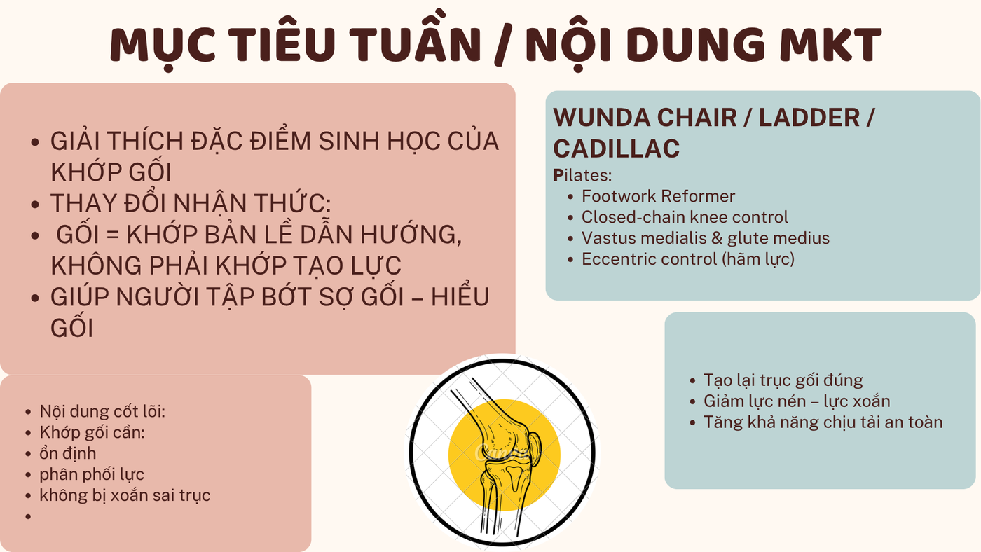 Khớp gối — 009