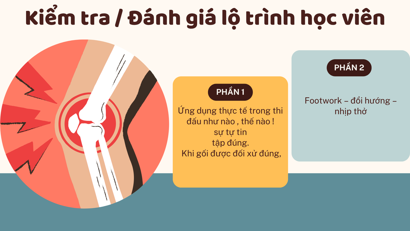 Khớp gối — 010