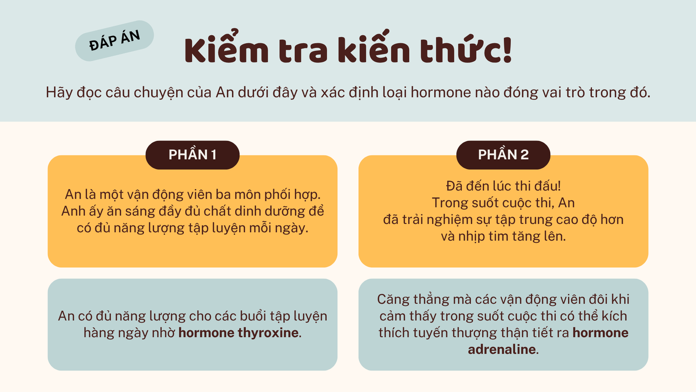 Khớp gối — 011