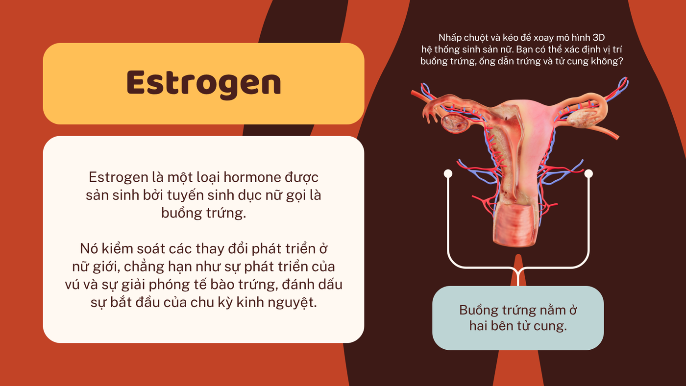 Khớp gối — 014