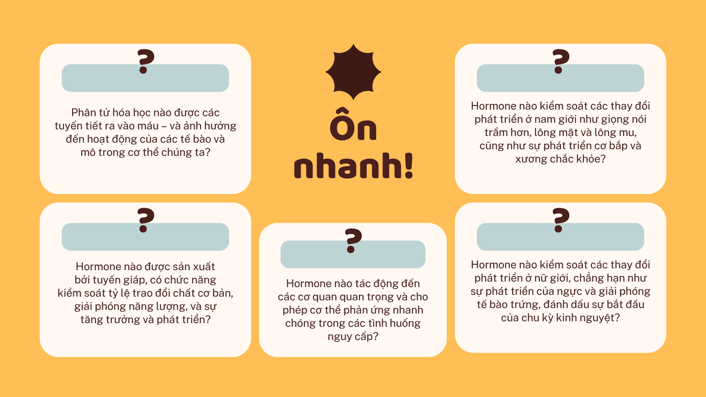 Khớp gối — 016