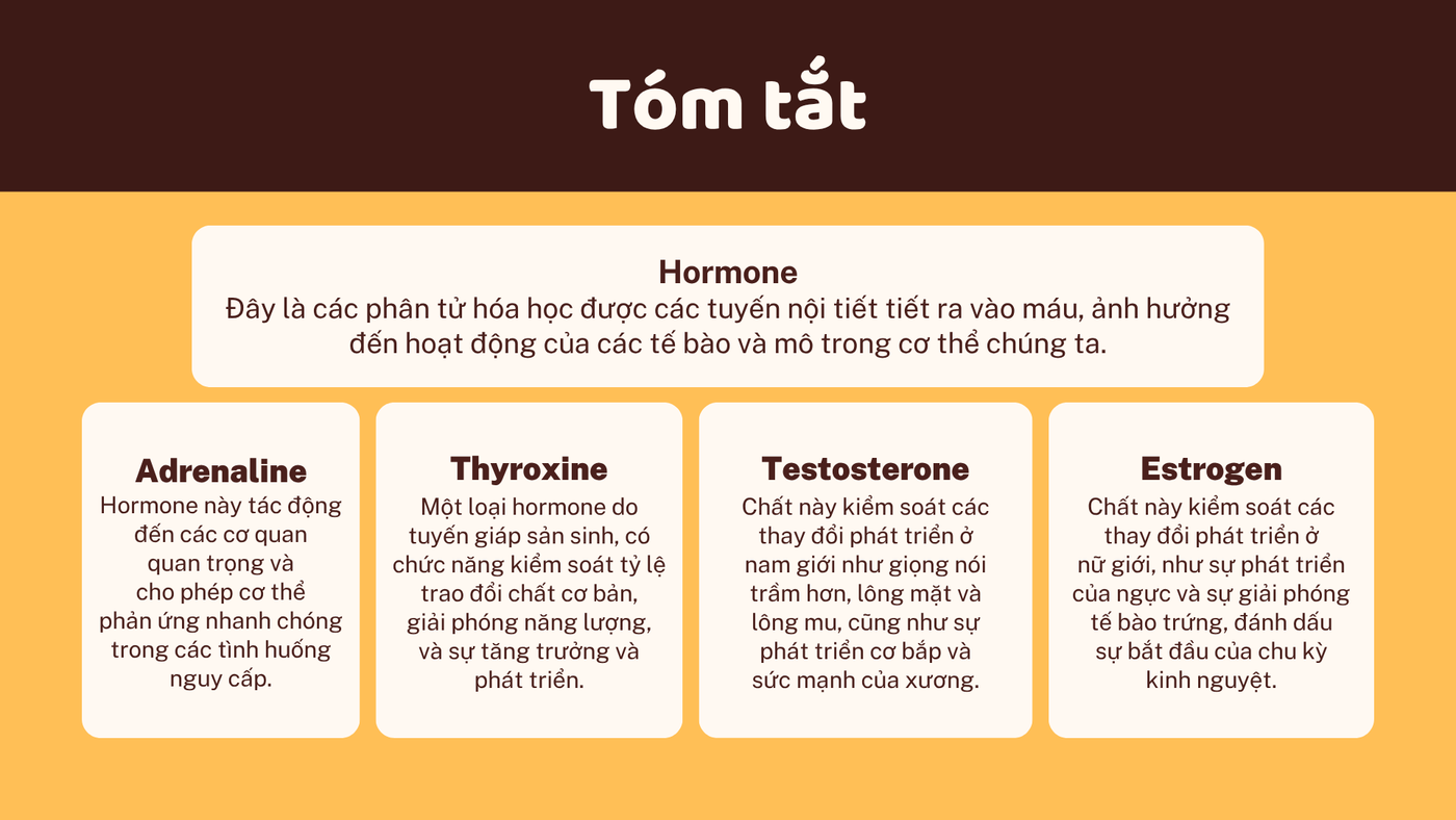 Khớp gối — 017