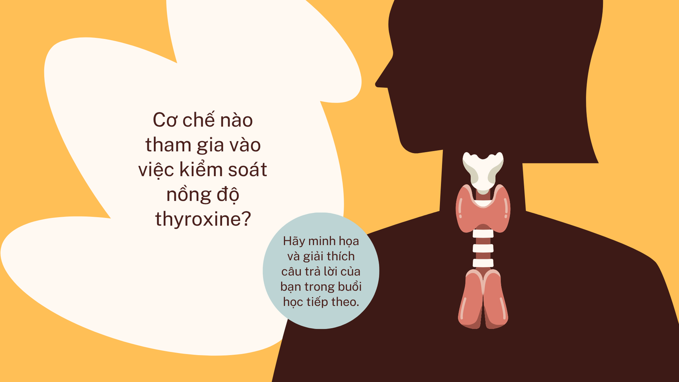 Khớp gối — 018