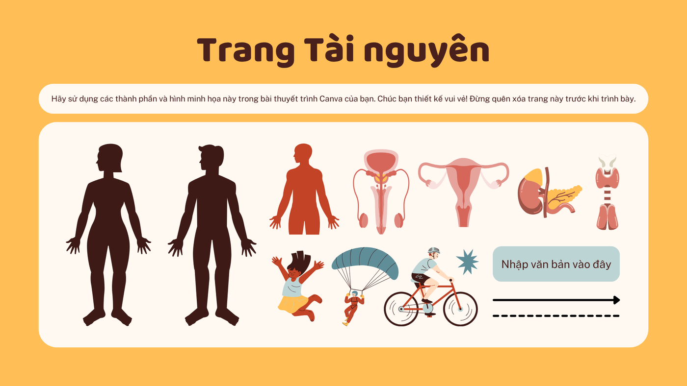 Khớp gối — 019